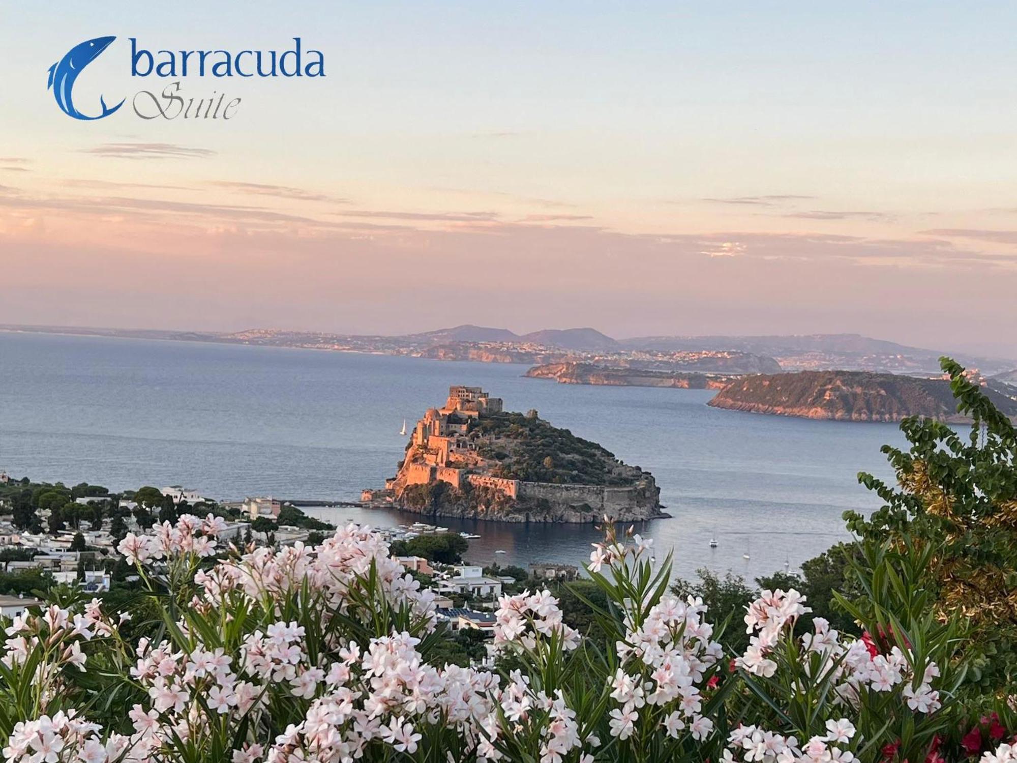 Junior Suite con Terrazza e Vista Mare