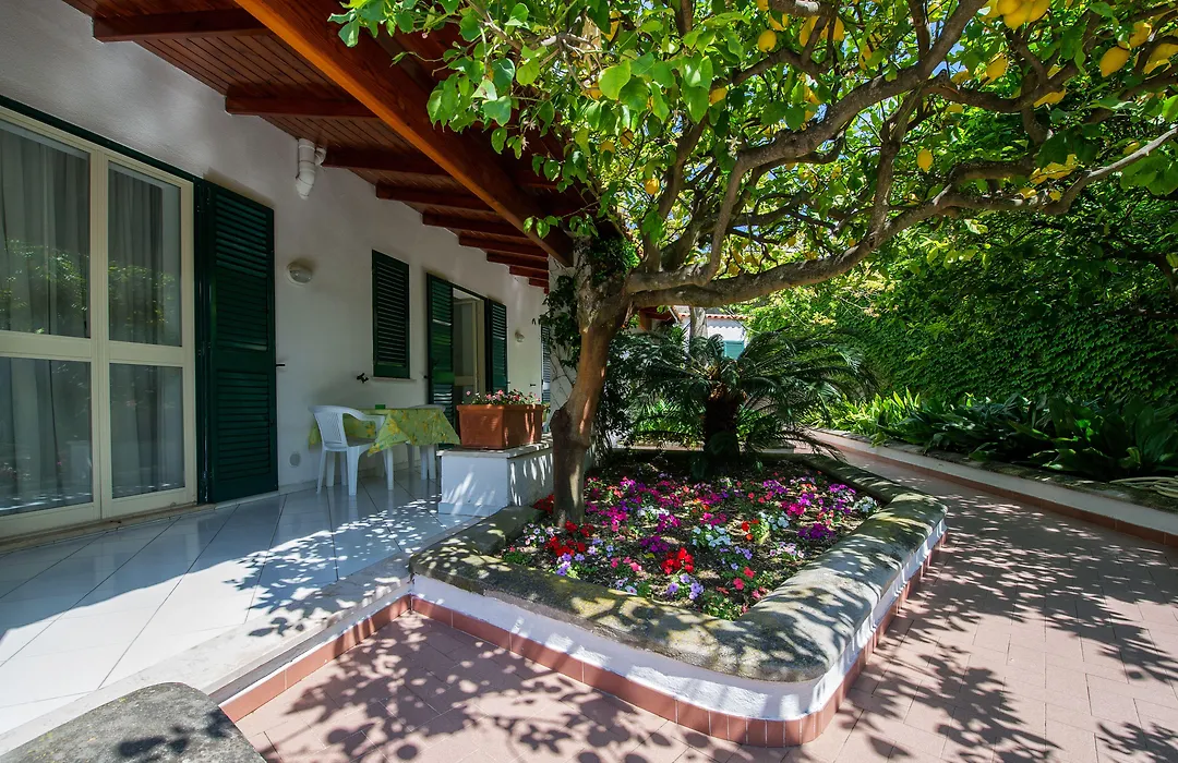 Residence San Domenico-1