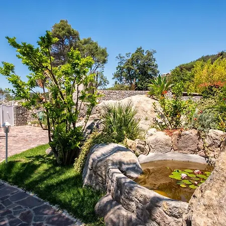 Villa dei Lecci - 7 Luxury villas with private pool or jacuzzi-3
