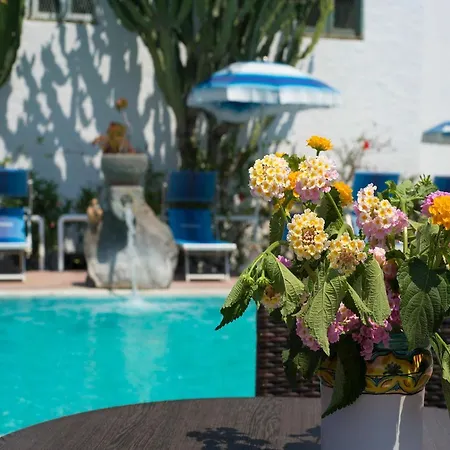 Room In Bb - Wellness And Relaxing Time In Ischia, We Are Waiting For You-2