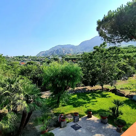 Cocos Park Ischia-2